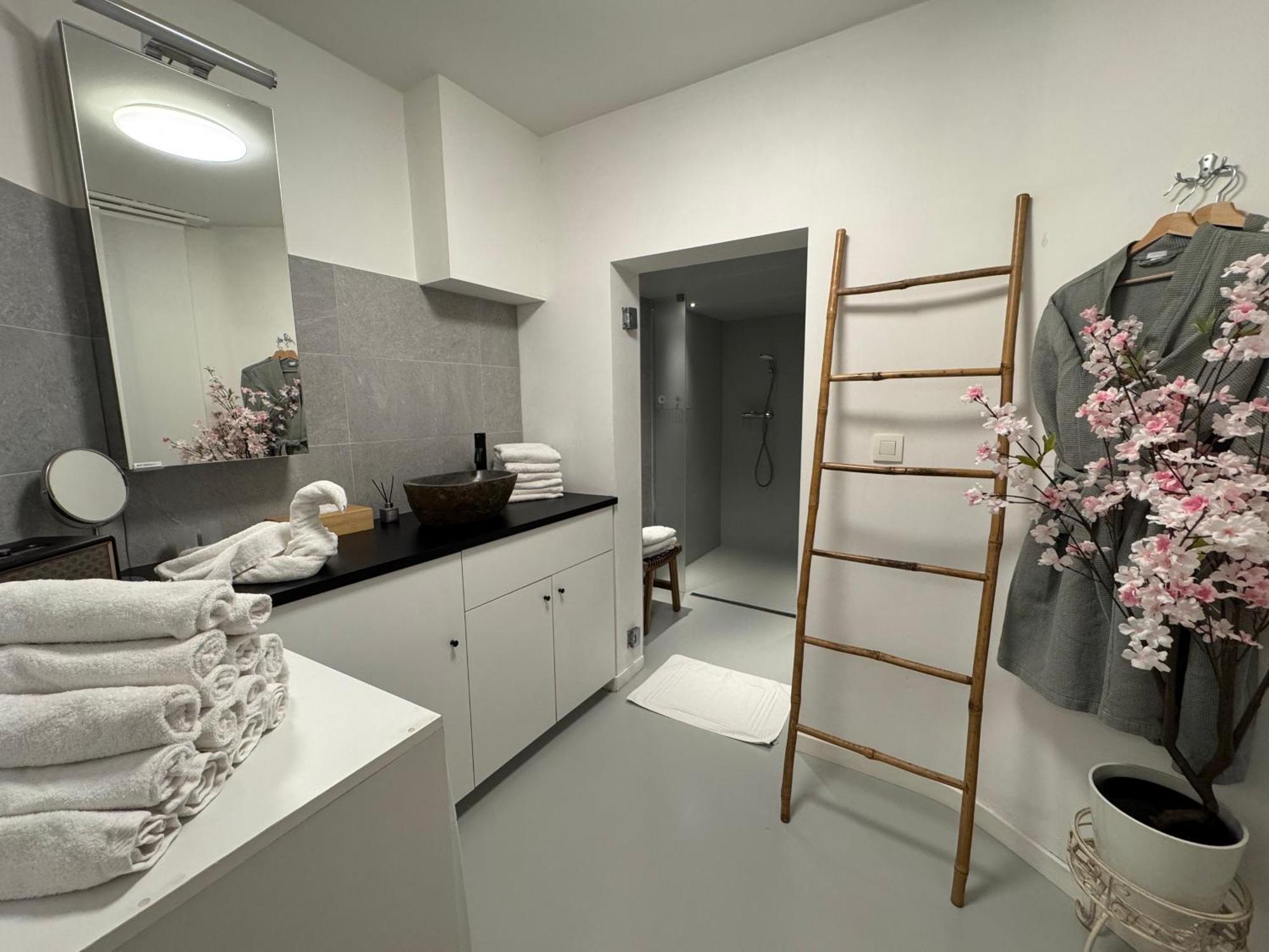 Coco Romantic In Central Antwerp - Sauna Ngoại thất bức ảnh